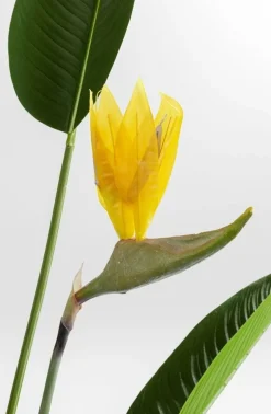 KARE Design Tekokasvit*Paradise Flowers Tekokasvi 190cm