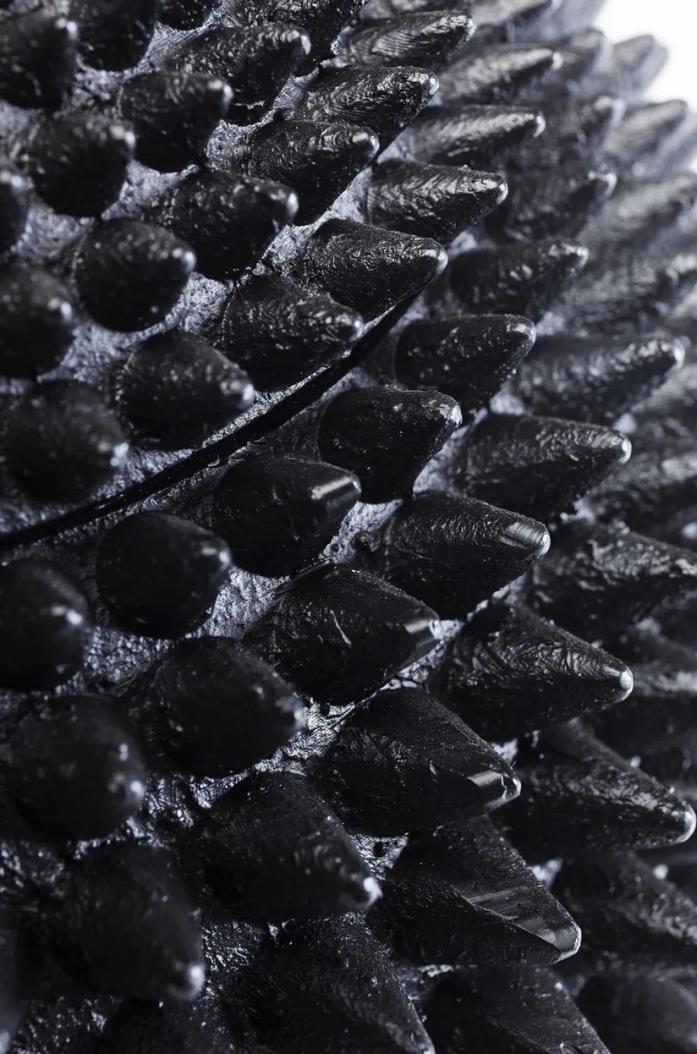 KARE Design Koriste-Esineet*Parrot Deco Rasia 40cm