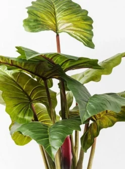 KARE Design Tekokasvit*Rainforest Green Tekokasvi 160cm