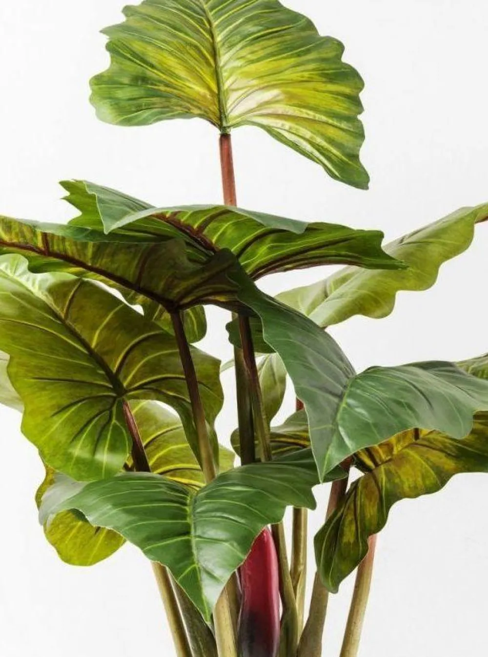 KARE Design Tekokasvit*Rainforest Green Tekokasvi 160cm