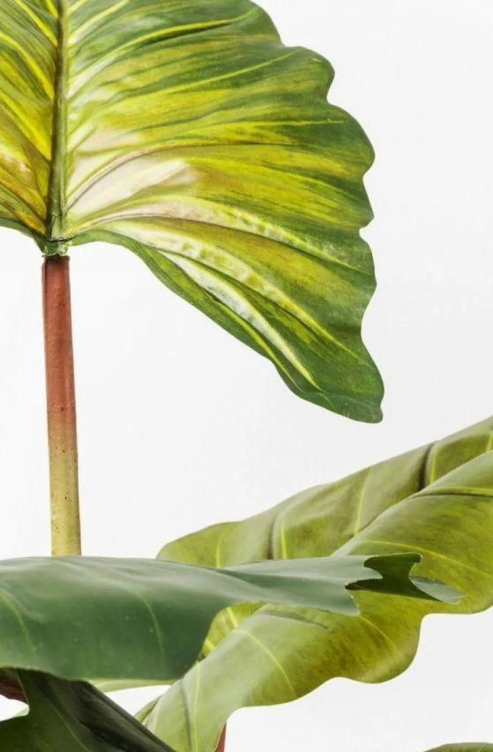 KARE Design Tekokasvit*Rainforest Green Tekokasvi 160cm