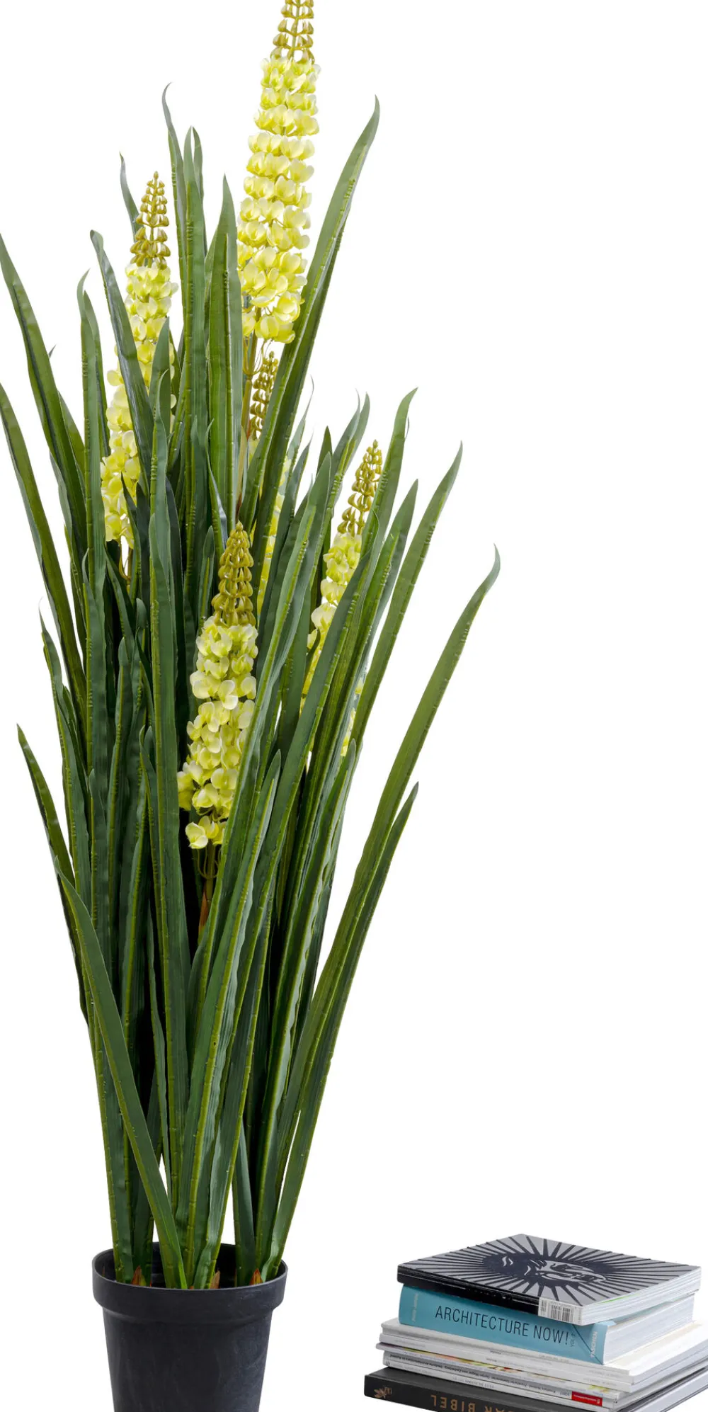 KARE Design Tekokasvit*Rhynchostylis Tekokasvi 150cm