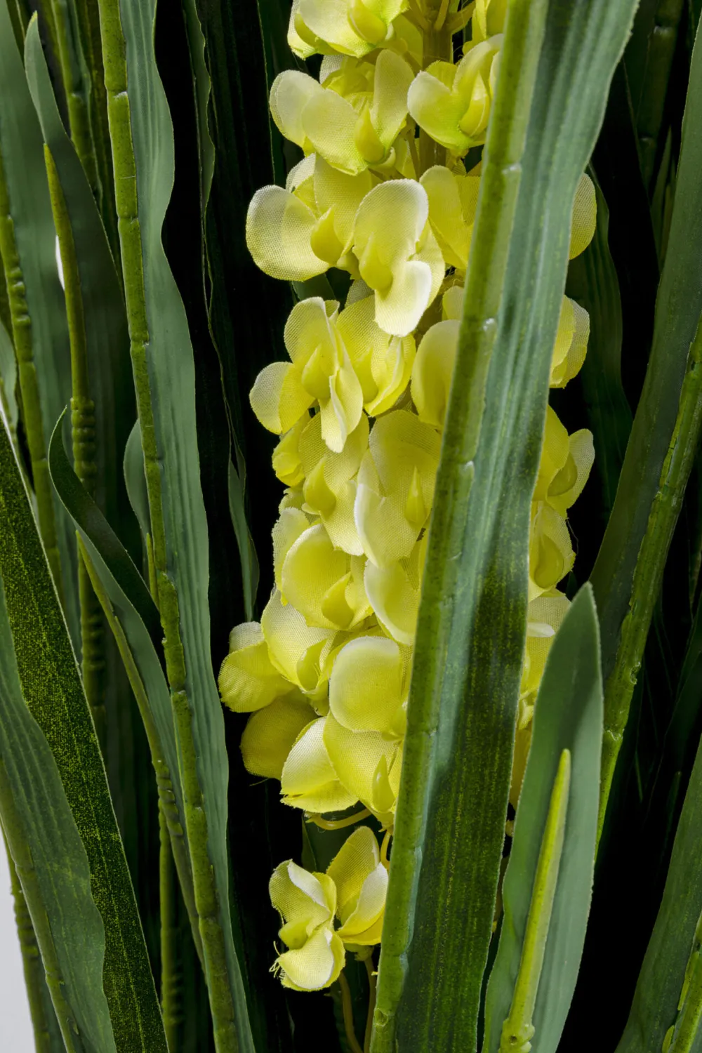 KARE Design Tekokasvit*Rhynchostylis Tekokasvi 150cm