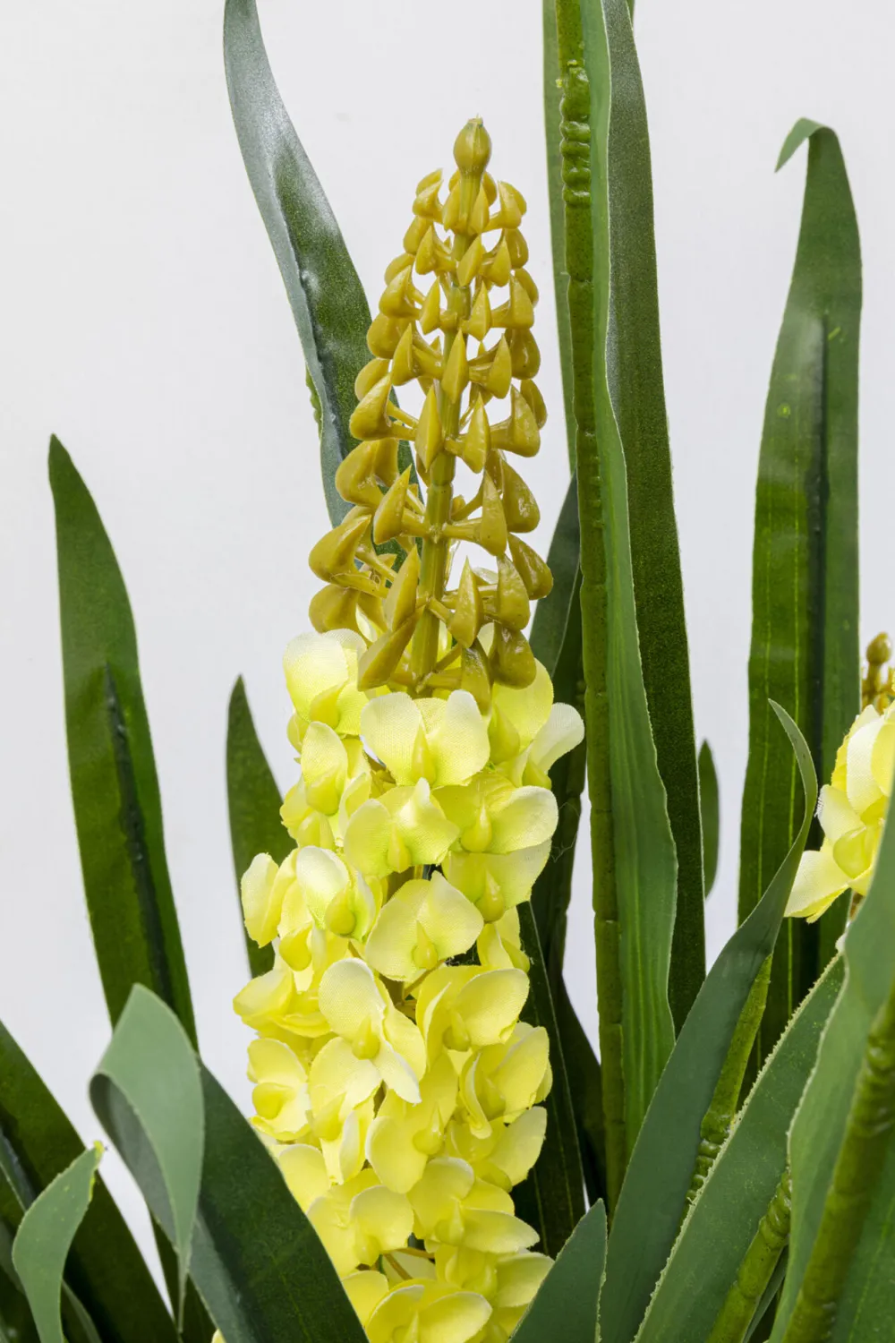 KARE Design Tekokasvit*Rhynchostylis Tekokasvi 150cm