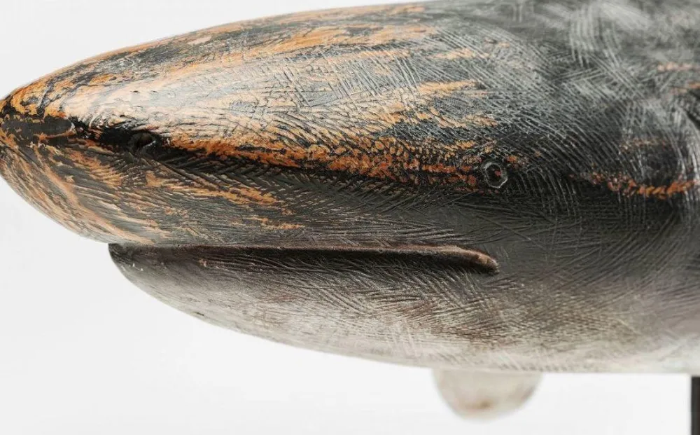 KARE Design Koriste-Esineet*Shark Base Hai Koriste-esine, 59cm