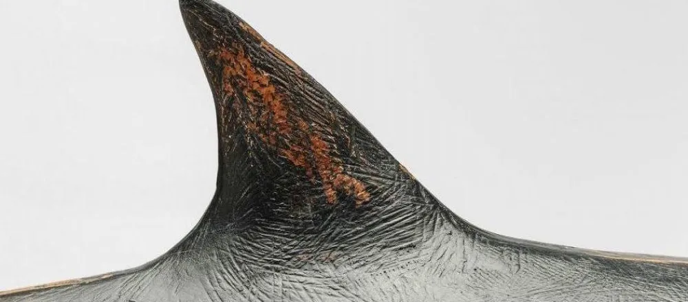 KARE Design Koriste-Esineet*Shark Base Hai Koriste-esine, 59cm