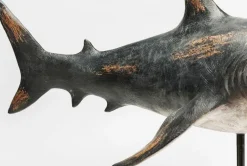 KARE Design Koriste-Esineet*Shark Base Hai Koriste-esine, 59cm