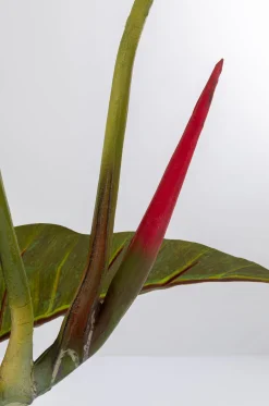 KARE Design Tekokasvit*Taro Tekokasvi 180cm