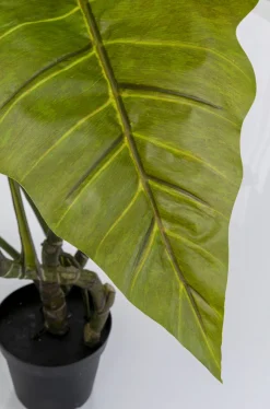 KARE Design Tekokasvit*Taro Tekokasvi 180cm