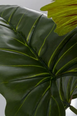 KARE Design Tekokasvit*Taro Tekokasvi 180cm