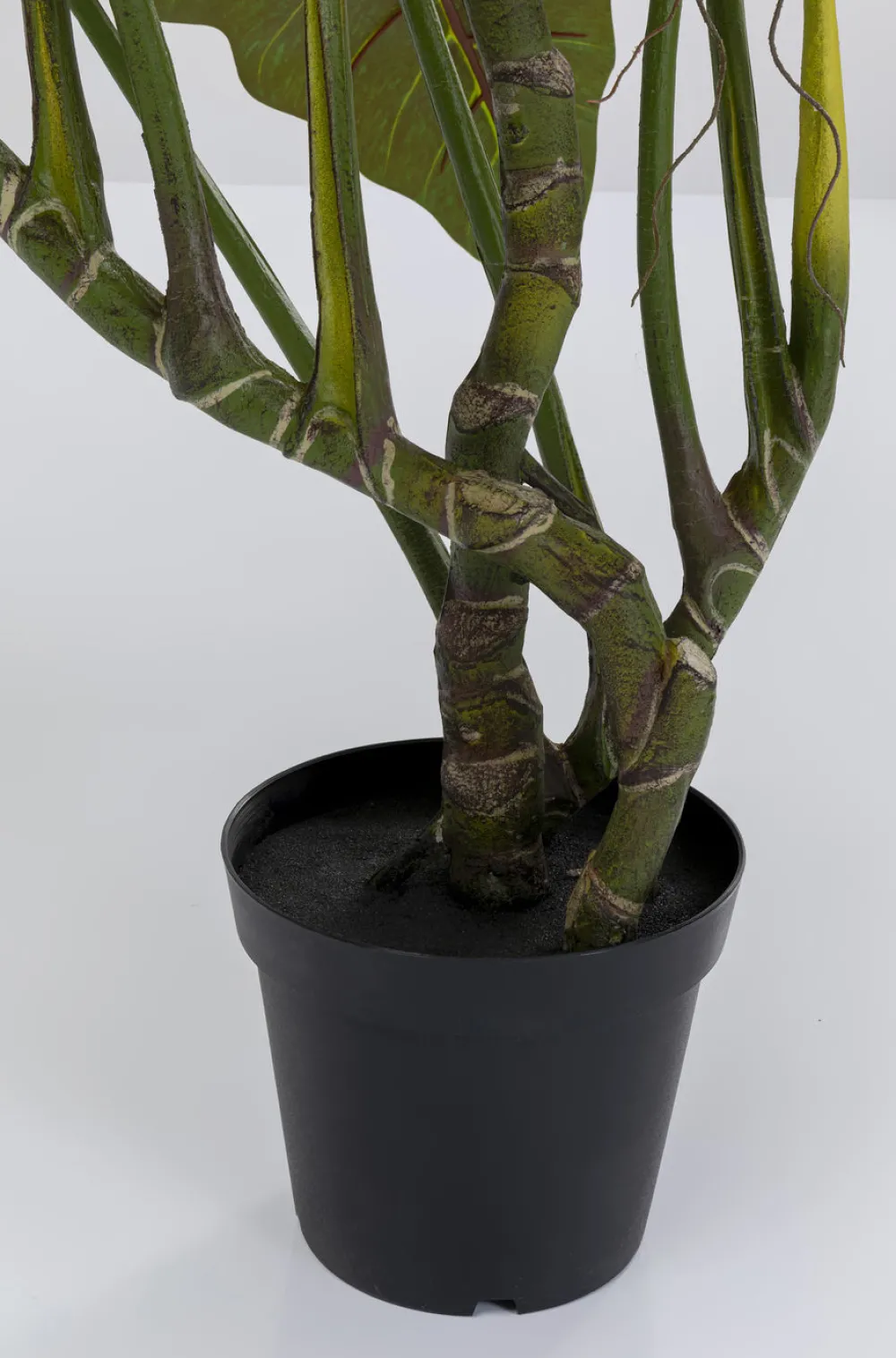 KARE Design Tekokasvit*Taro Tekokasvi 180cm