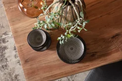 KARE Design Mukit|Lautaset*Tokyo Astiasto (12/osaa)