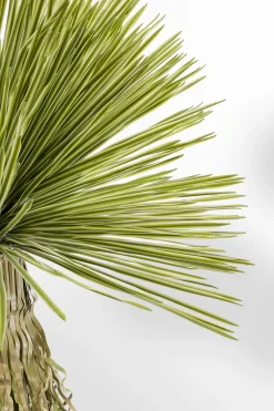 KARE Design Tekokasvit*Yucca Tekokasvi 180cm